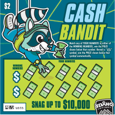 Cash Bandit scratch-off ticket