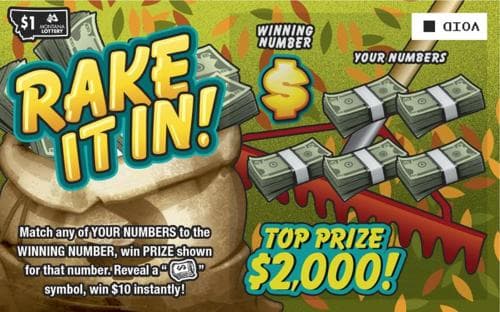 Rake It In scratch-off ticket