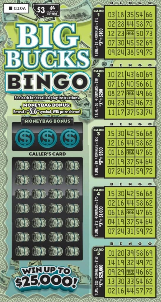 $3 Big Bucks Bingo scratch-off ticket