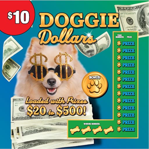 DOGGIE-POOL-CAT-CASH scratch-off ticket